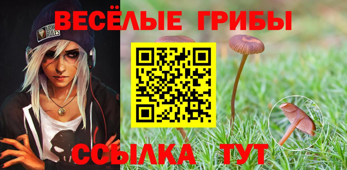 купить наркотик  Вход с VPN  Похвистнево  Псилоцибиновые грибы Magic Shrooms 